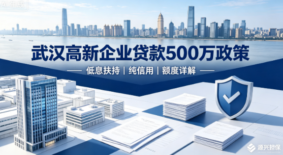武汉高新企业贷款500万额度政策，利率、申请条件、避坑指南
